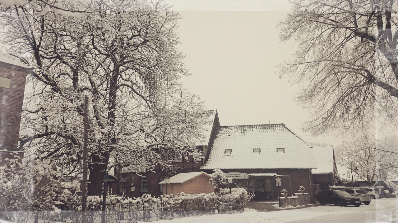 Zum Landhaus Dannenbuettel Sassenburg Eksteriør billede